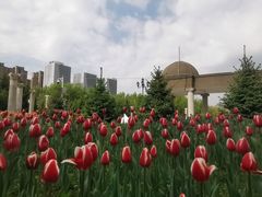 -长春公园(普阳街道)