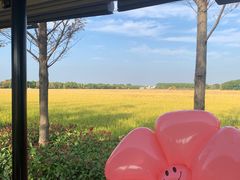 -嘉北郊野公园