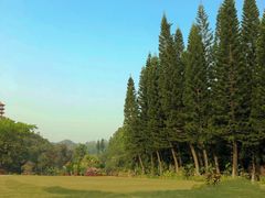 -深圳仙湖植物园