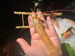 -花潮料理艺食馆(成都万象城店)