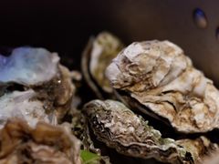 -宴誉恋海·名蚝盛宴烧烤酒馆(总统府1912店)