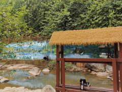 -广州白江湖森林公园