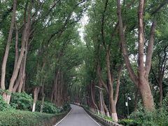 -上海市保健医疗中心