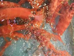 -宜宾海鲜酒家·三十年老字号