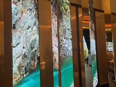 -桂满陇·海市蜃楼·黑金(国金店)