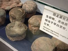 -游龙石文化科普馆