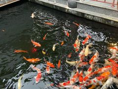 -桃园盛宴·岭南粤菜·手工茶点(南庄店)