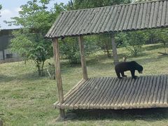 -上海野生动物园