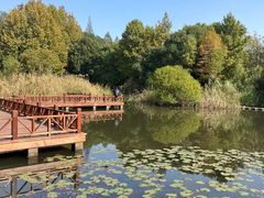 -上海吴淞炮台湾国家湿地公园