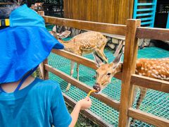-四季轩中餐厅(徐州开元名都大酒店)