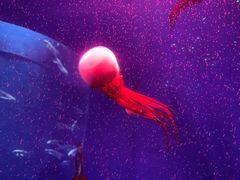 -石林冰雪海洋世界