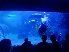 -左海海底世界
