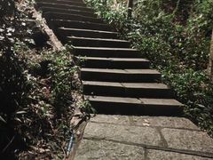 -水濂山森林公园