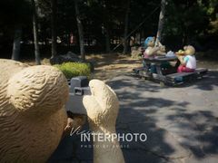 -济州岛泰迪熊博物馆
