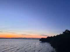 -宝安西湾红树林湿地公园