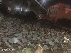 -正嘢私房菜