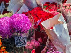 -循礼门鲜花花市(武汉循礼门店)