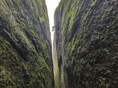 -汤旺河林海奇石景区
