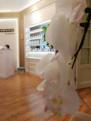 -联合丽格·张菡丽格医疗美容
