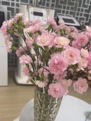 -荟草堂专业祛痘修护中心