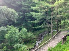 -苏木山森林公园