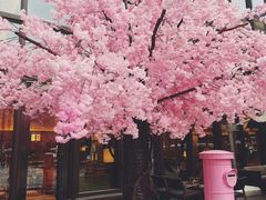 -汤连得温泉馆(宝山店)