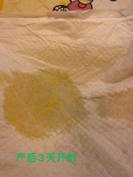 -康乃馨·馨悦佳人(鹭江店)