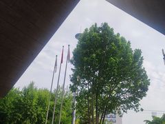 -凤凰中心