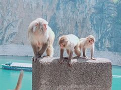 -白帝城·瞿塘峡景区