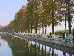 -东湖听涛景区
