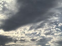 -道北杂碎(总店)