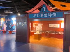 -海合安武汉极地海洋公园
