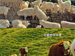 -暖泉古镇