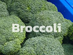 -东川新街市(东川市场店)