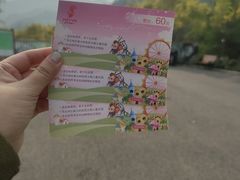 -欢乐松鼠谷