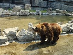 -北京野生动物园