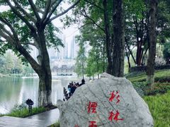 -重庆彩云湖湿地公园