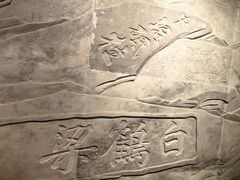 -白鹤梁水下博物馆