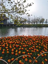 -玄武湖景区-情侣园游乐场