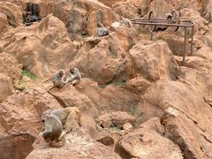 -昆明动物园