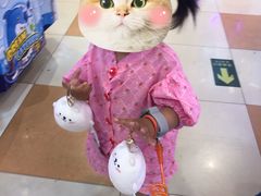 -汤姆熊欢乐世界(罗斯福店)