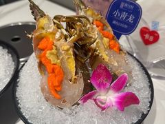 -海月轩海鲜豆捞(紫金塔店)