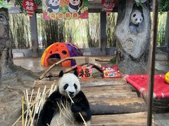 -海南热带野生动植物园