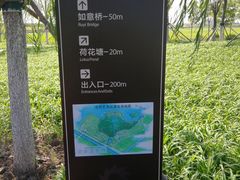 -天津东丽湖风景区