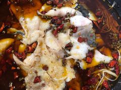 -金三可市井水煮鱼(金碧园店)