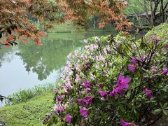-常德桃花源景区