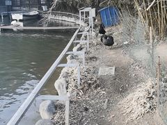 -春晖园度假酒店温泉