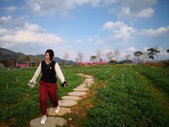 -天适樱花悠乐园