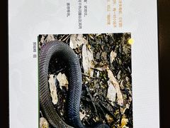 -四川大学博物馆