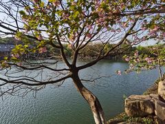 -白马涧龙池景区